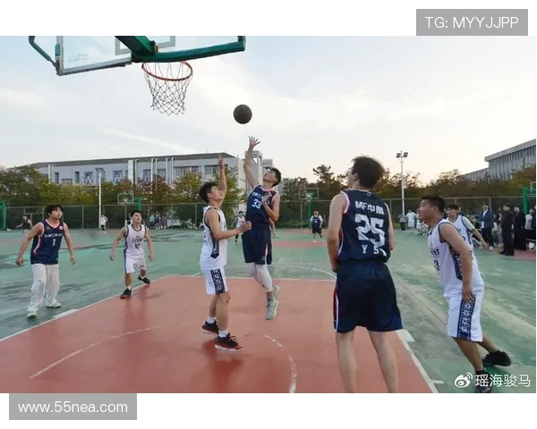 以篮球精神为纽带探索团队合作与青春激情的无限可能