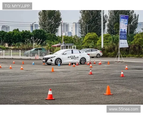 深圳羽毛球队转型之路的挑战与机遇全景观察